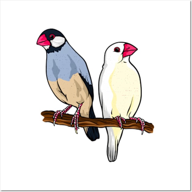 two java sparrow birds Wall Art by animalfuny